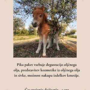 Carcauec doživetje  - Pika paket